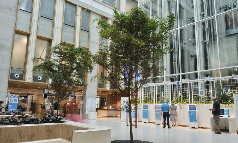 Vrouw die blij glimlacht